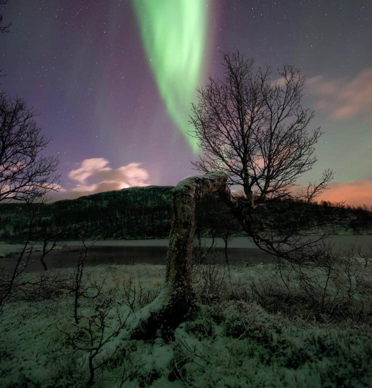 Harstad, All Seasons Apartman Kültér fotó